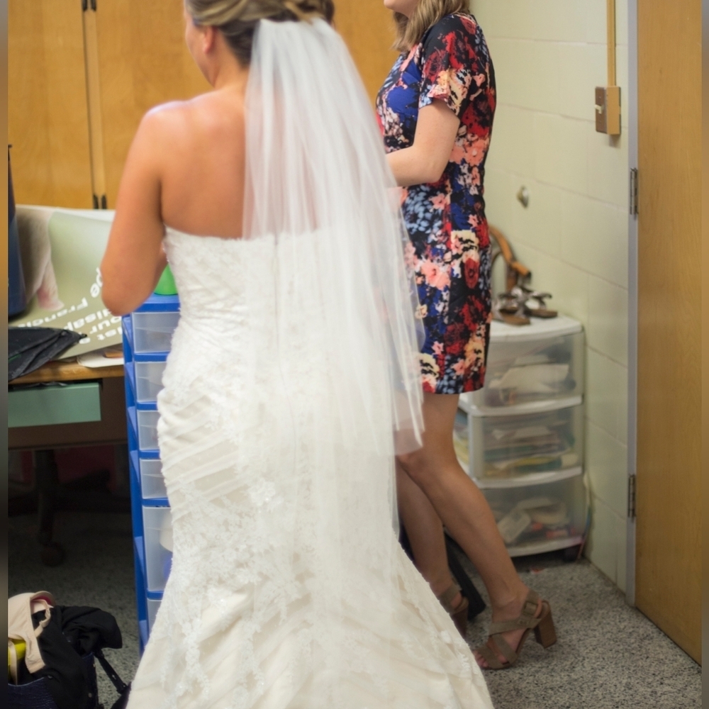 Matthew Christopher | Sophia Wedding Gown & Veil Size 14 - Picture 5 of 16
